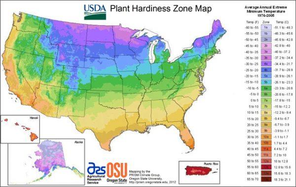 What Growing Zone is Edmonton?