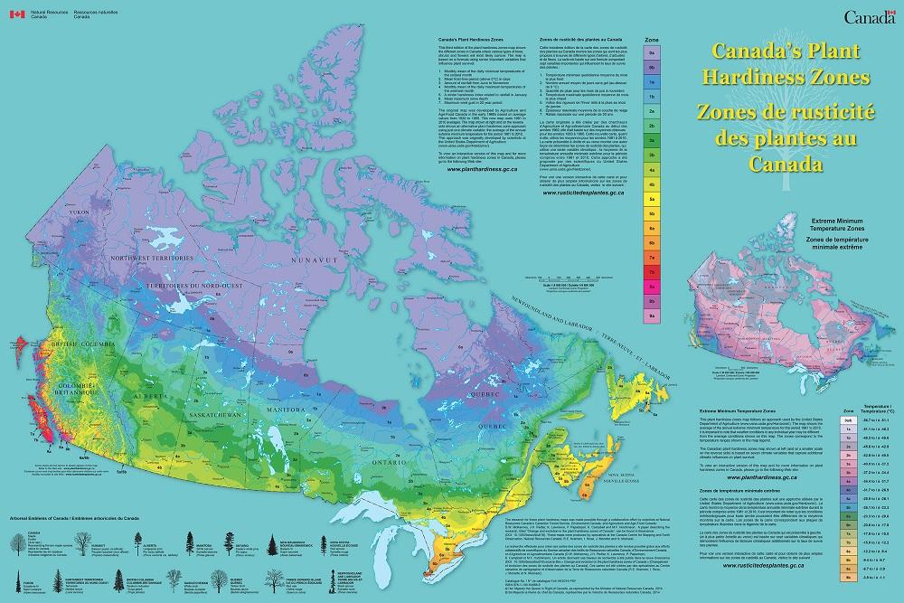 What Growing Zone is Edmonton?