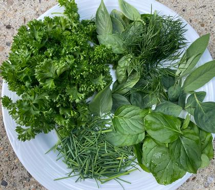 Using Your Summer Herbs Using Your Summer Herbs