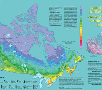 What Growing Zone is Edmonton?