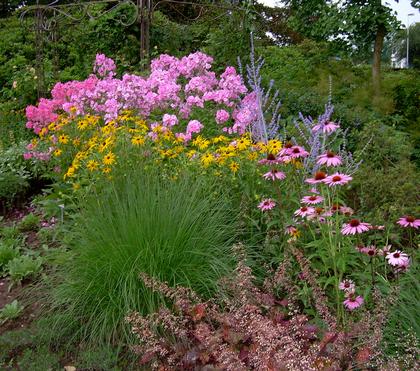 Common Gardening Challenges and Solutions Common Gardening Challenges and Solutions