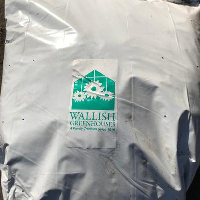 Wallish Custom Soil Blend - 38 litres 
