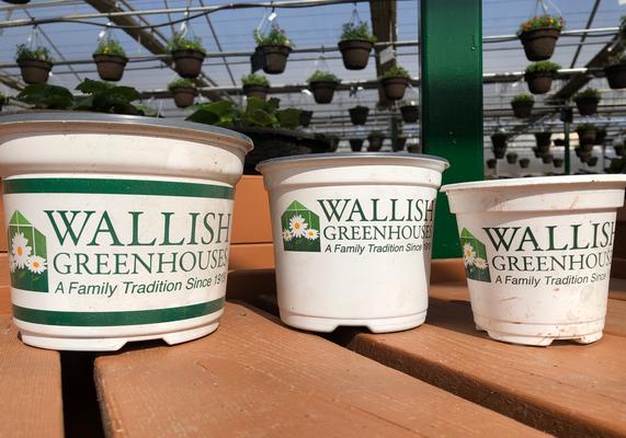 Wallish Pots for reuse