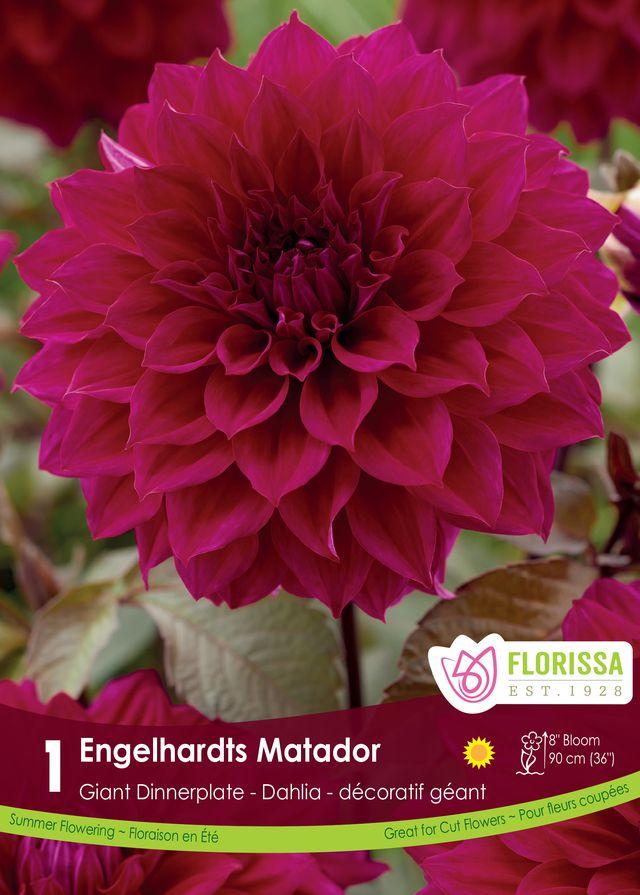 Dahlia Engelhardt's Matador