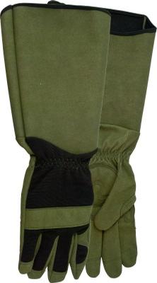 Garden Supplies Tools and Gloves Game of Thorns - Mens