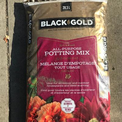 Black Gold All Purpose Potting Mix - 28.3 litres 