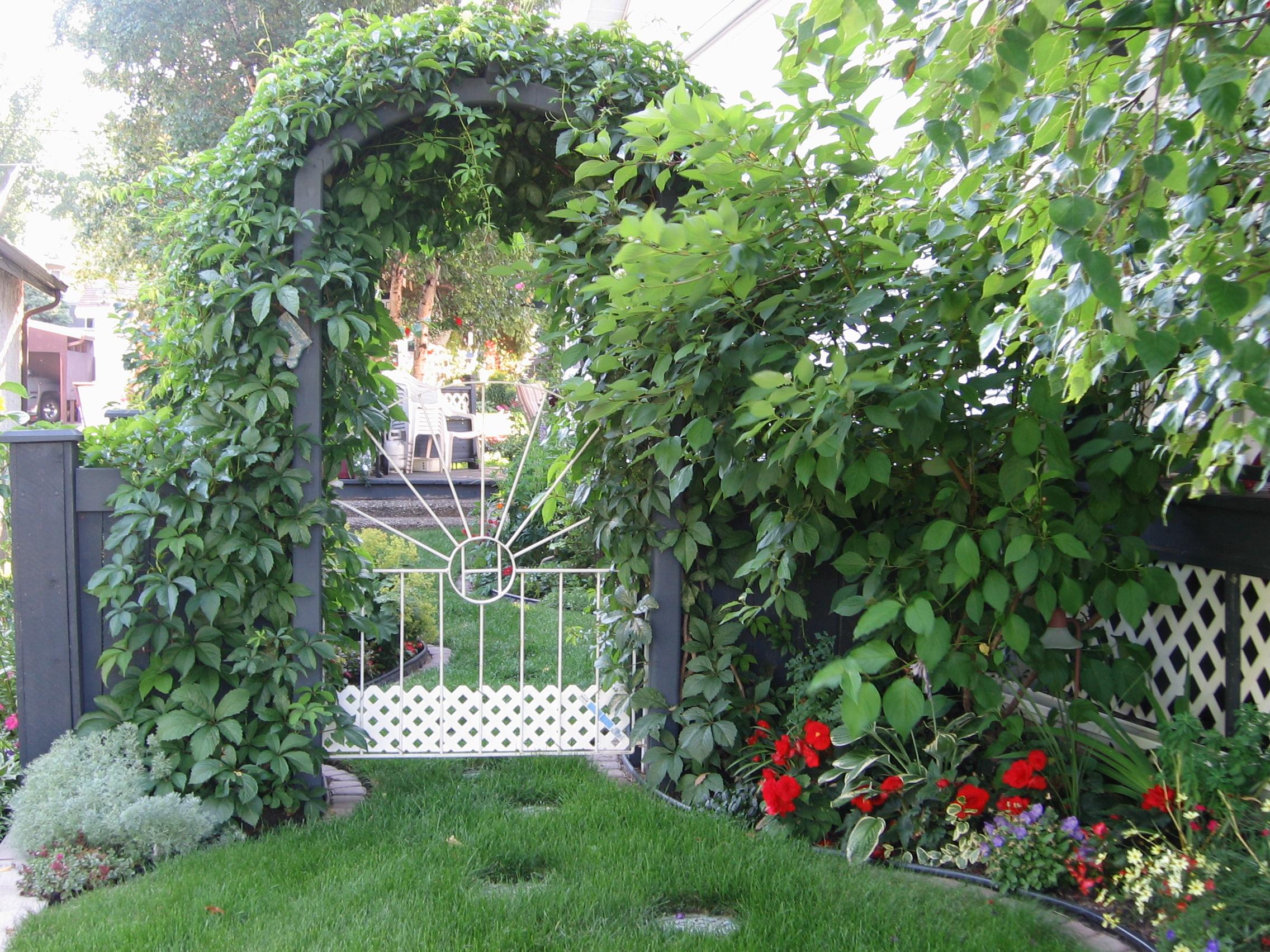 How To Plan A Garden: An Easy 4-Step Guide