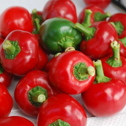 Pepper Red Cherry Hot