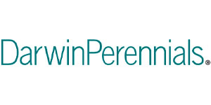 Darwin Perennial Darwin Perennial